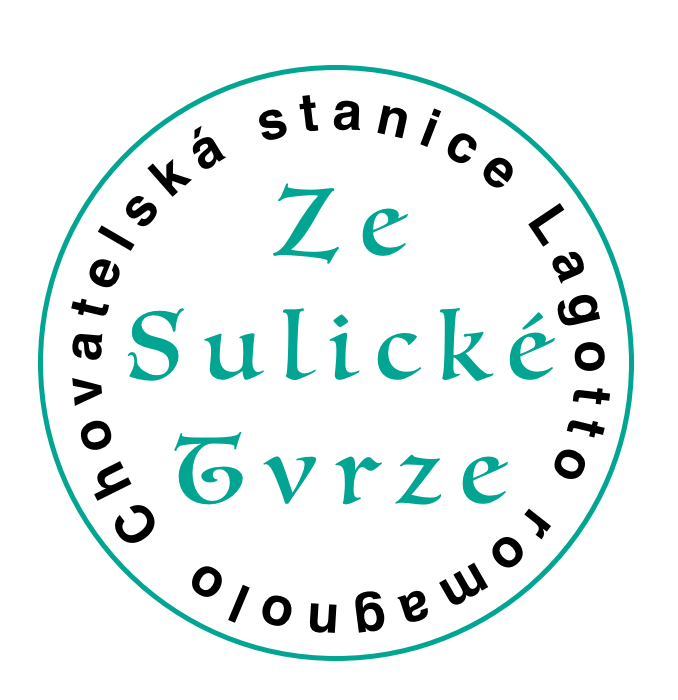 Ze Sulické Tvrze